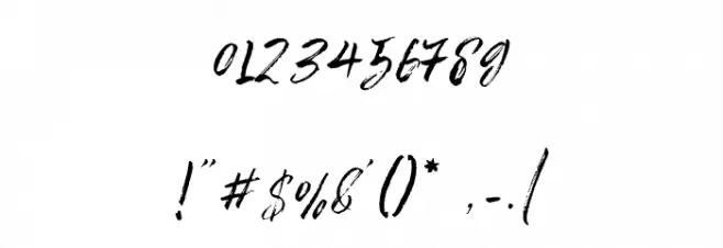 ColdaysMemoriesBrush Font OTHER CHARS