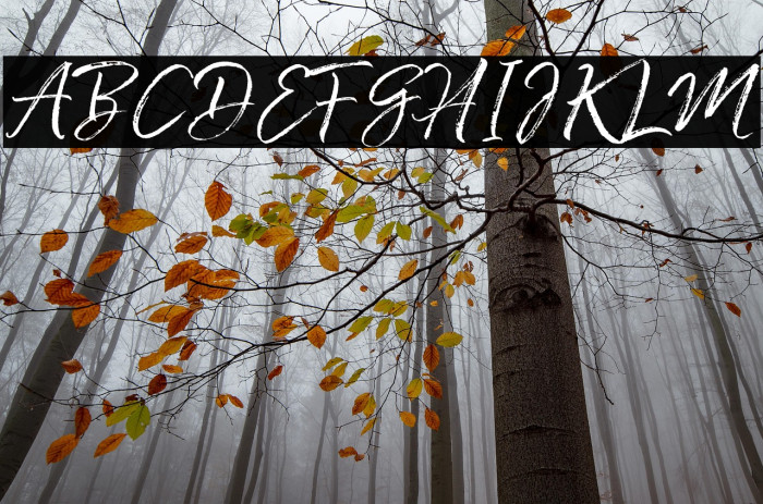 ColdaysMemoriesBrush Example 3