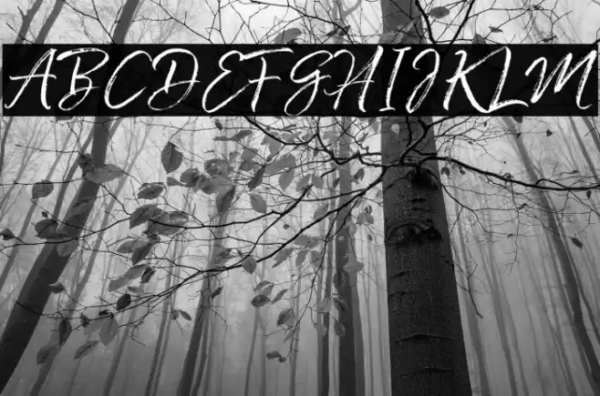 ColdaysMemoriesBrush Font examples