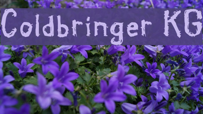 Coldbringer KG フォント examples