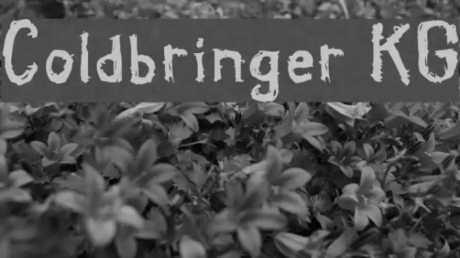 Coldbringer KG フォント examples