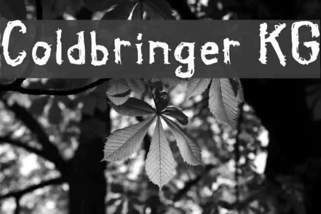 Coldbringer KG フォント examples