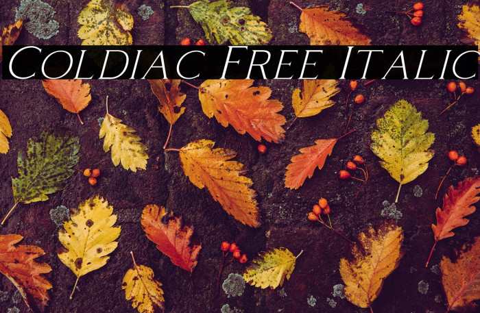 Coldiac Free Italic Example 2