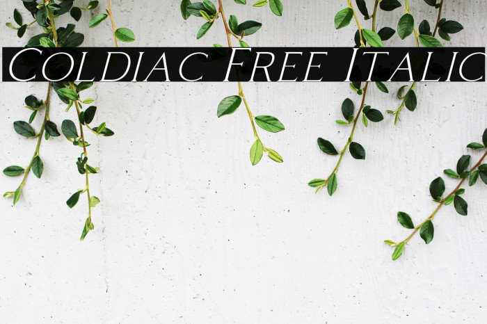 Coldiac Free Italic Example 3