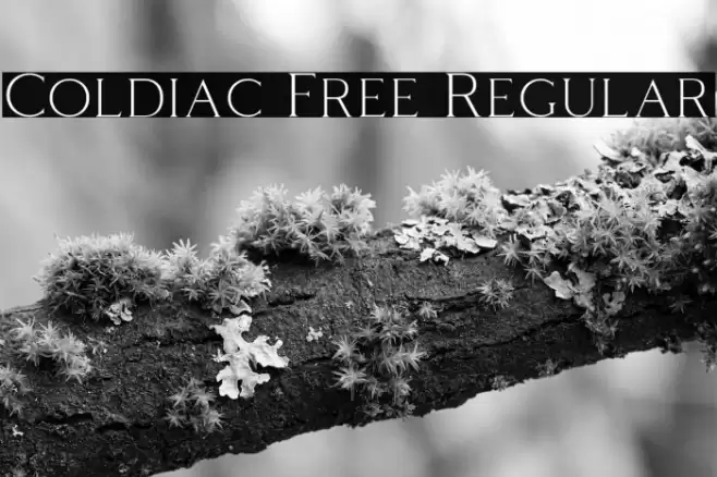 Coldiac Free Regular Font examples