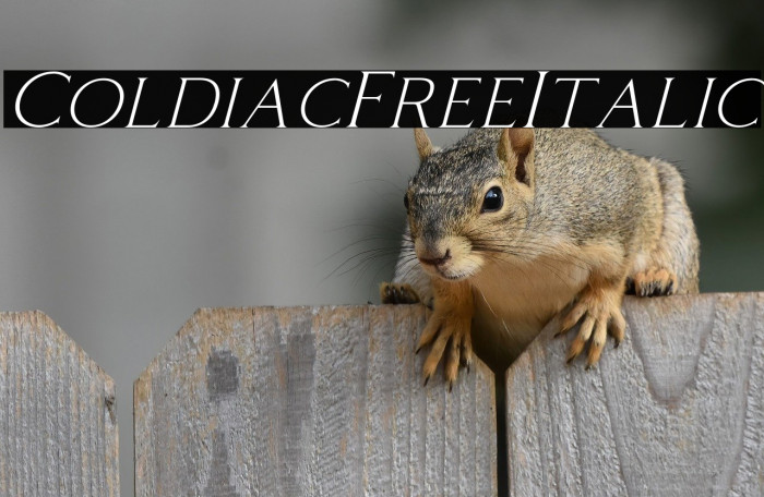 ColdiacFree-Italic Example 3