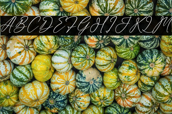 Coldwell Bridges Example 1