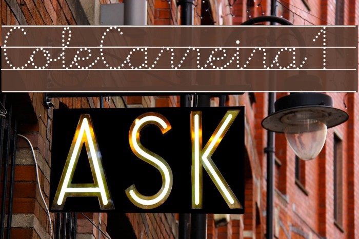 ColeCarreira1 Example 1