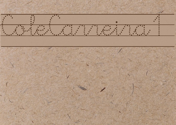 ColeCarreira1 Example 2