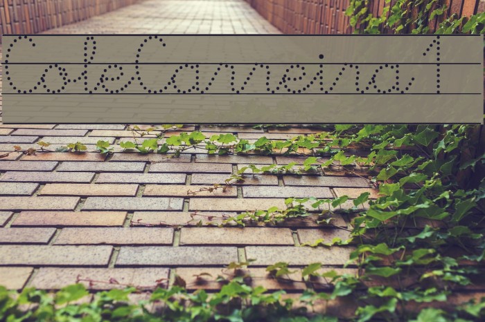 ColeCarreira1 Example 3