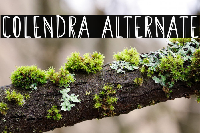Colendra Alternate Example 3