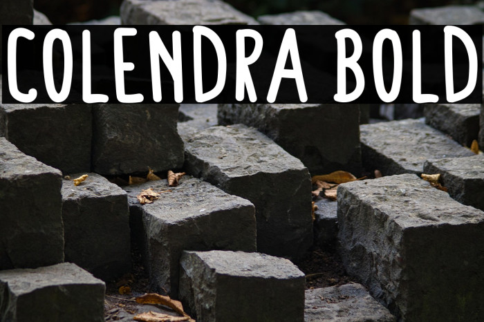Colendra Bold Example 2