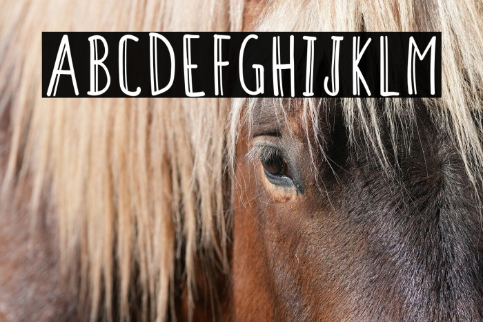 ColendraAlternate Example 1