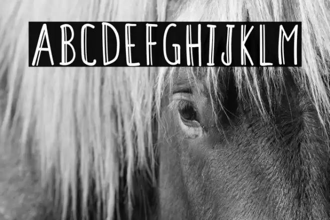 ColendraAlternate Polices examples