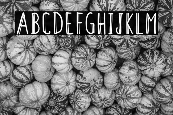 ColendraAlternate Polices examples