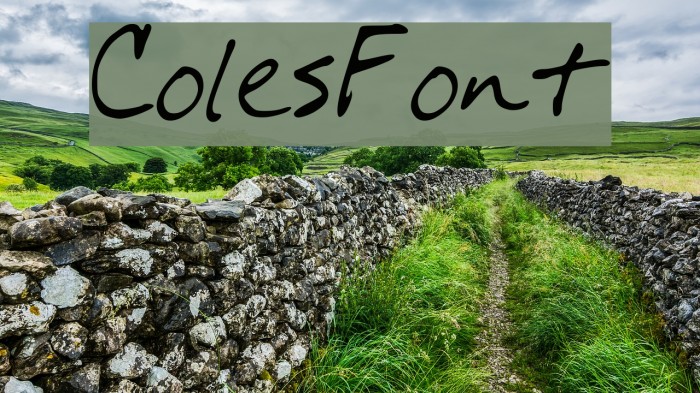 ColesFont Font examples