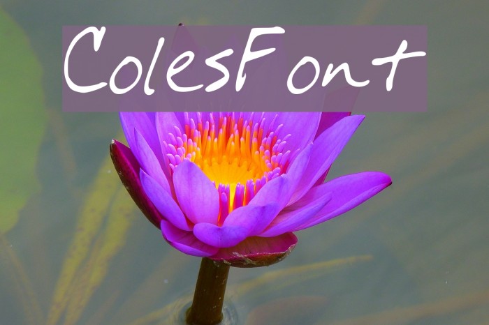 ColesFont Font examples