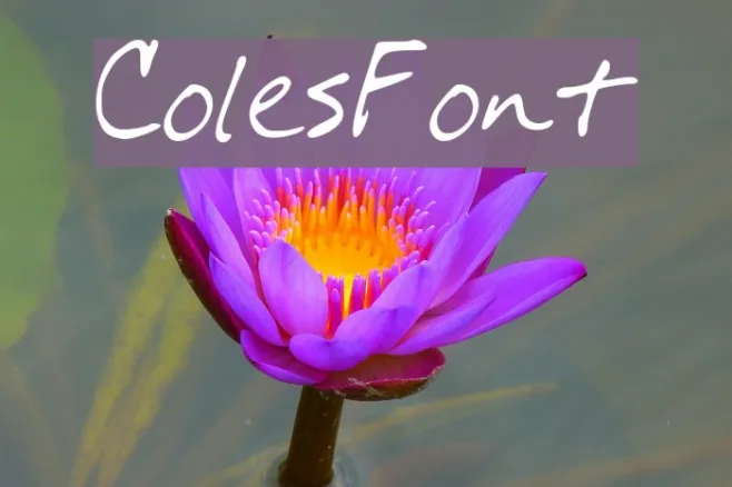 ColesFont Example 2