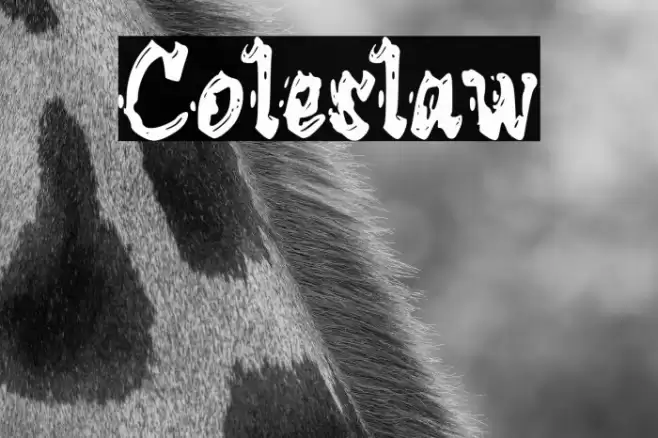 Coleslaw Font examples