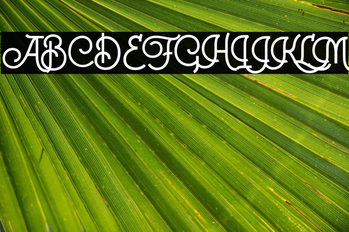 Colgneries Example 3