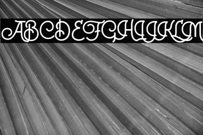 Colgneries Font examples