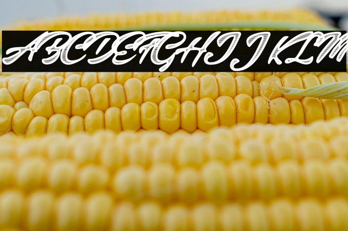 Colinas Personal Use Regular Example 1