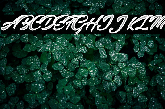 Colinas Personal Use Regular Example 3