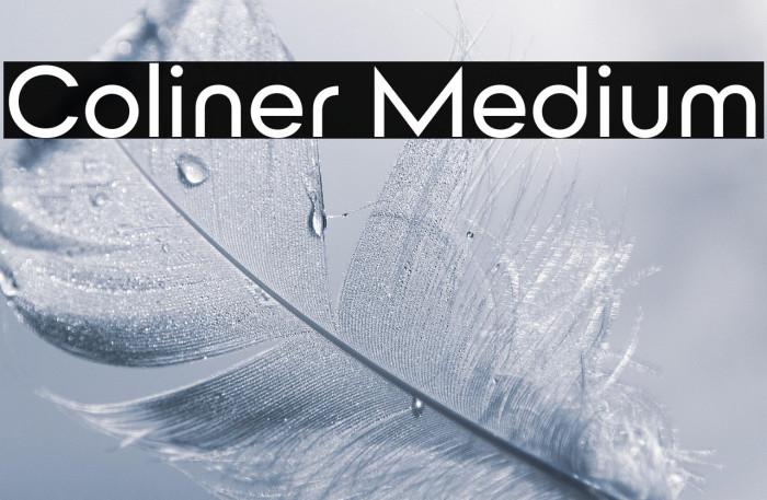 Coliner Medium Example 1