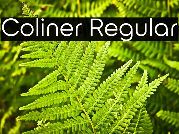 Coliner Regular Example 1