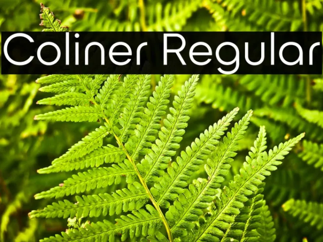 Coliner Regular Example 1