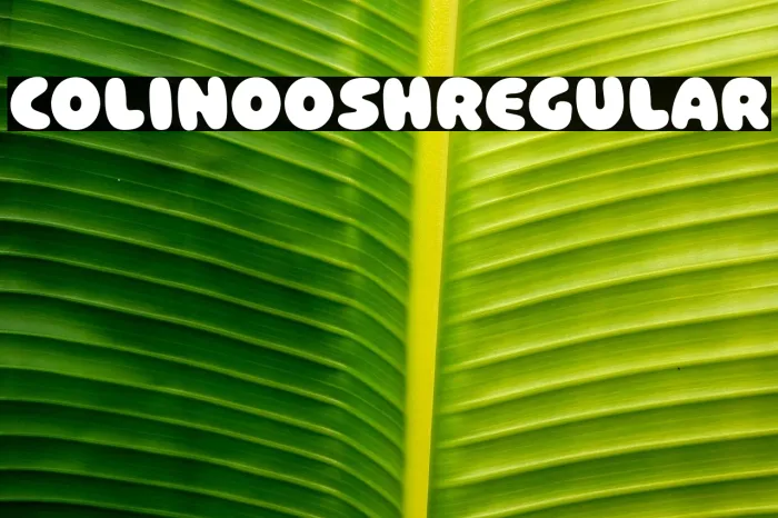Colinoosh Regular Example 3