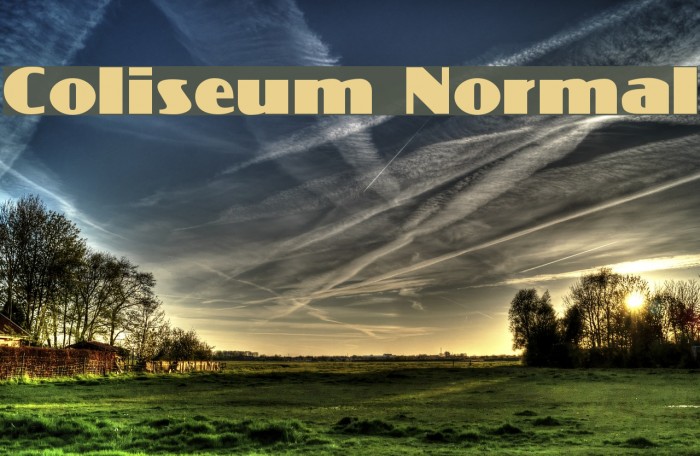 Coliseum Normal Font examples