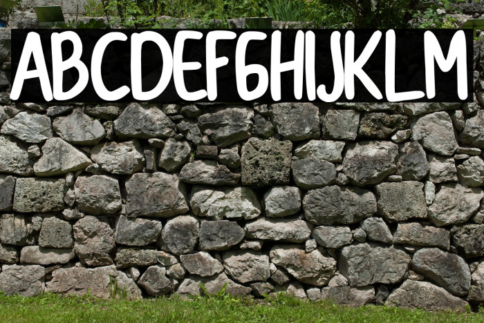 CollBesT Bold Example 1