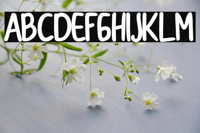 CollBesT Bold Example 3