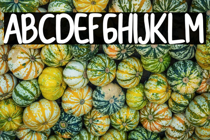 CollBesT Bold Example 2