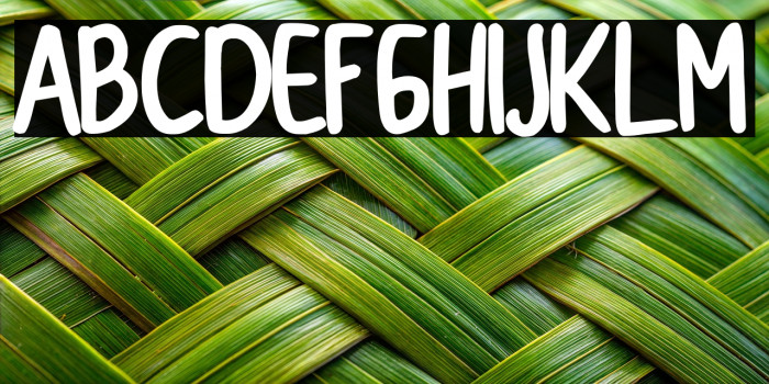 CollBesT Bold Example 3