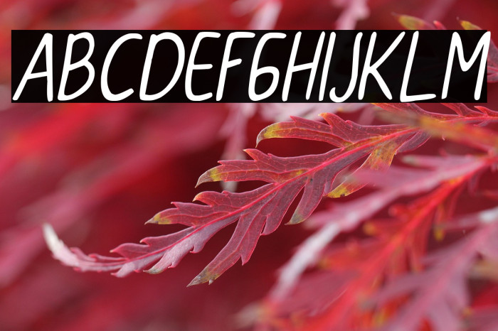 CollBesT Italic Example 1