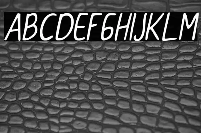 CollBesT Italic Font examples