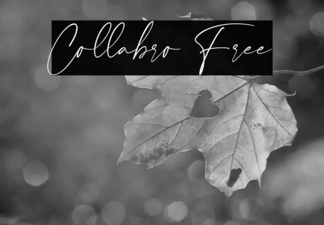Collabro Free Font examples