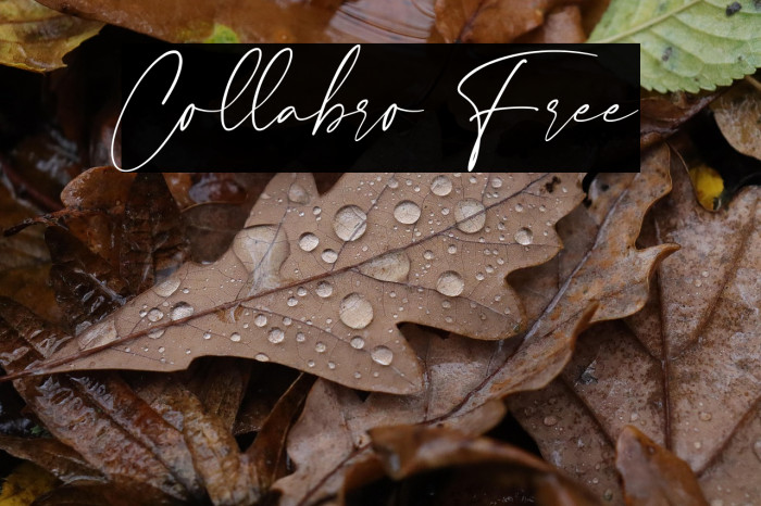 Collabro Free Example 3