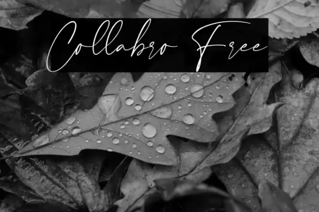 Collabro Free Font examples