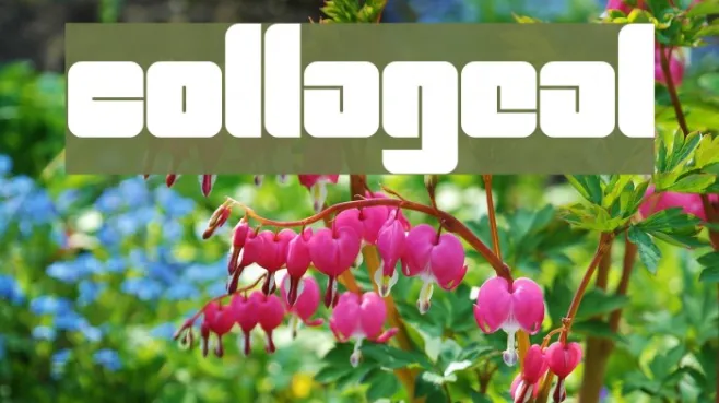 CollageAL Example 2
