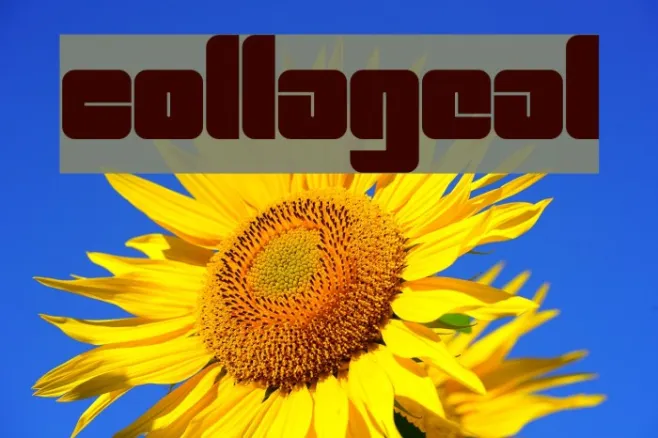 CollageAL Example 3