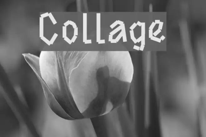 Collage Font examples