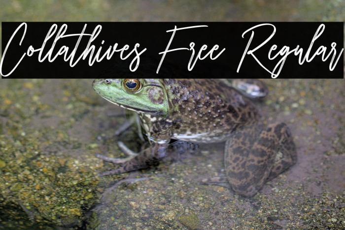 Collathives Free Regular Example 2