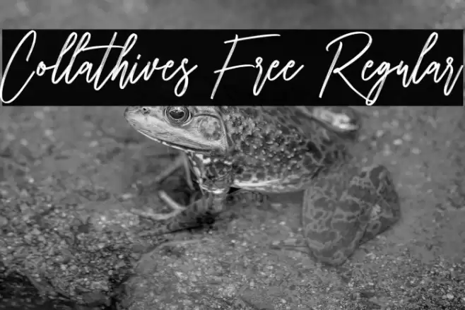 Collathives Free Regular Font examples