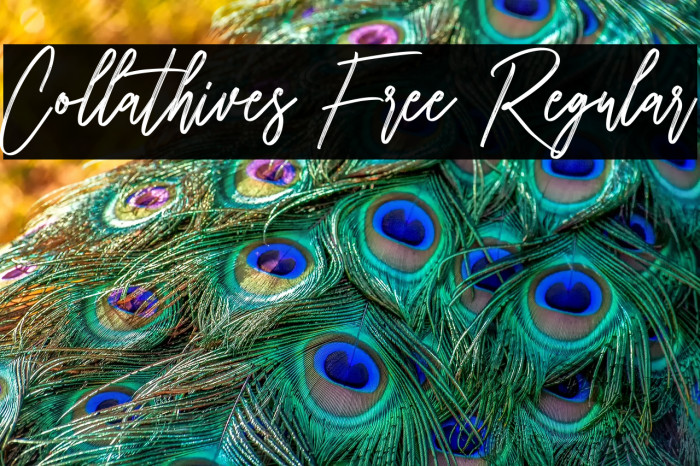 Collathives Free Regular Example 3