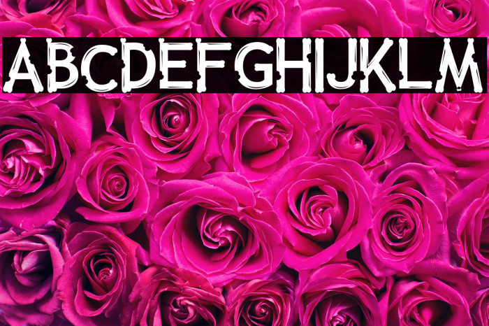 Collay Love Example 3