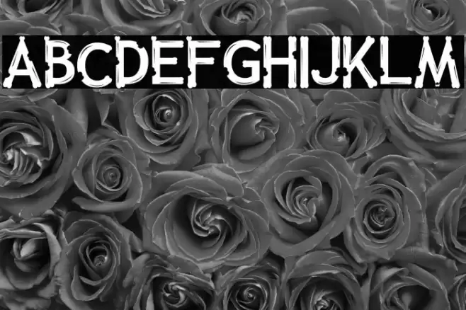 Collay Love Font examples