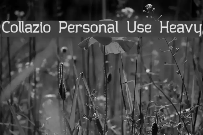 Collazio Personal Use Heavy फ़ॉन्ट examples